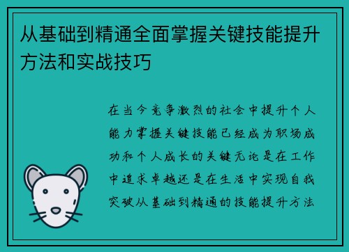 从基础到精通全面掌握关键技能提升方法和实战技巧