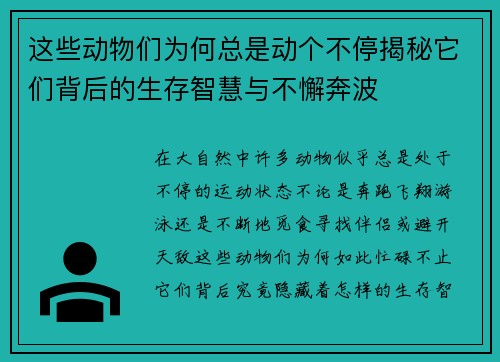 这些动物们为何总是动个不停揭秘它们背后的生存智慧与不懈奔波