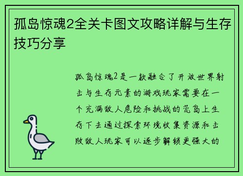 孤岛惊魂2全关卡图文攻略详解与生存技巧分享